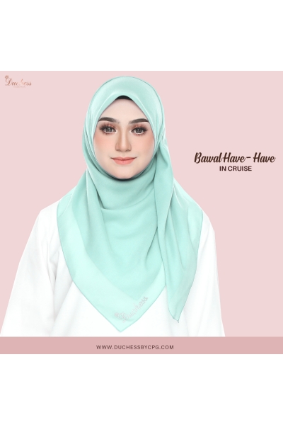 BAWAL HAVE2 - CRUISE BAWAL HAVE2 - CRUISE